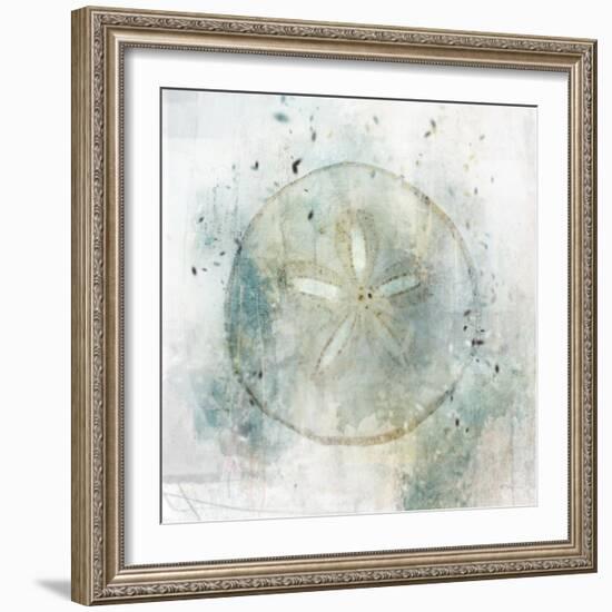 Coastal Mist Sand Dollar-Ken Roko-Framed Art Print