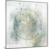 Coastal Mist Sand Dollar-Ken Roko-Mounted Art Print