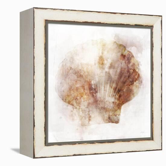 Coastal Mist Scallop-Ken Roko-Framed Stretched Canvas