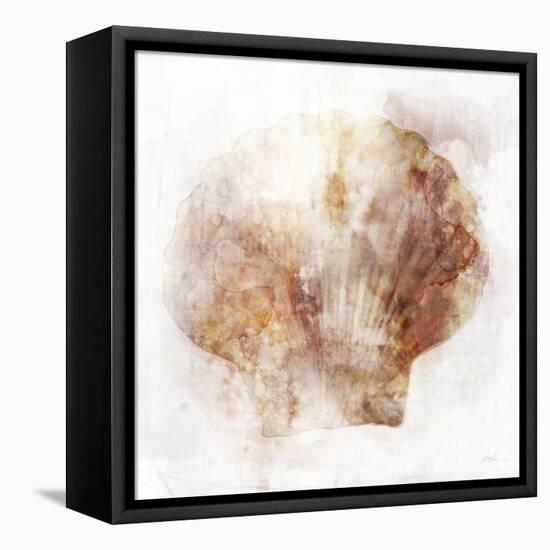 Coastal Mist Scallop-Ken Roko-Framed Stretched Canvas