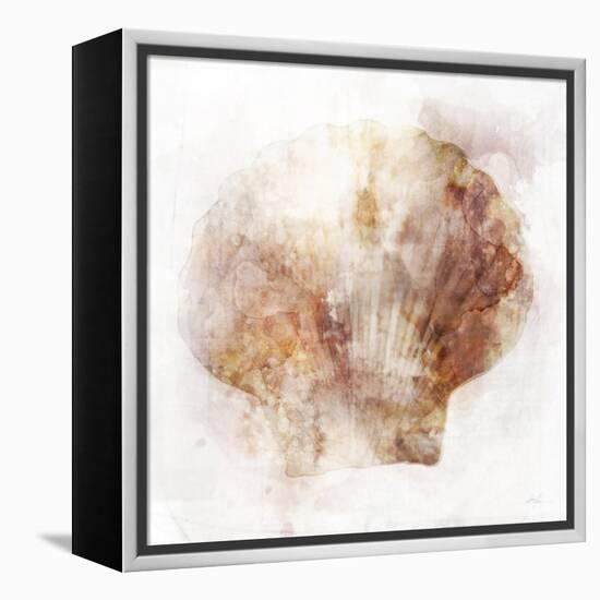 Coastal Mist Scallop-Ken Roko-Framed Stretched Canvas