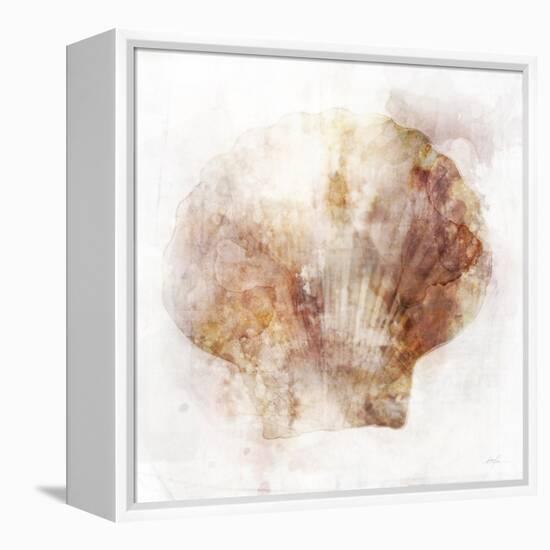 Coastal Mist Scallop-Ken Roko-Framed Stretched Canvas
