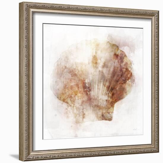 Coastal Mist Scallop-Ken Roko-Framed Art Print