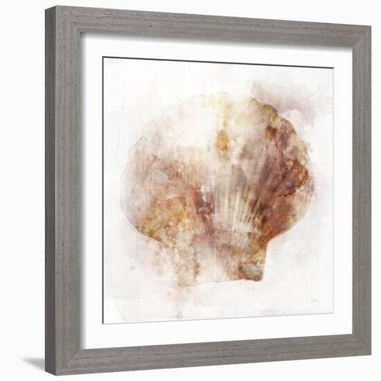 Coastal Mist Scallop-Ken Roko-Framed Art Print