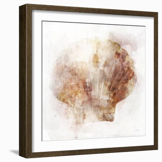 Coastal Mist Scallop-Ken Roko-Framed Art Print