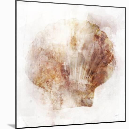 Coastal Mist Scallop-Ken Roko-Mounted Art Print