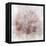 Coastal Mist Sea Fan-Ken Roko-Framed Stretched Canvas