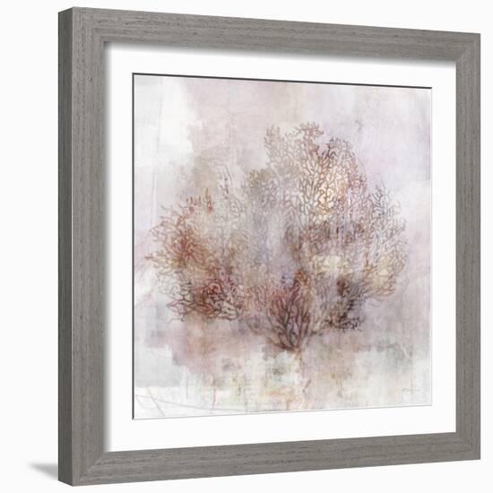 Coastal Mist Sea Fan-Ken Roko-Framed Art Print