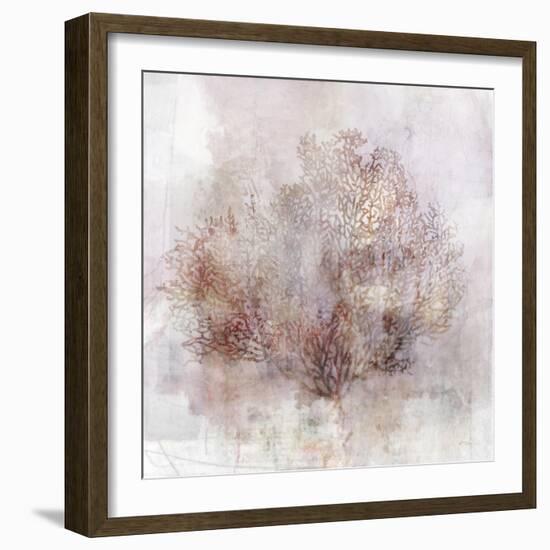 Coastal Mist Sea Fan-Ken Roko-Framed Art Print