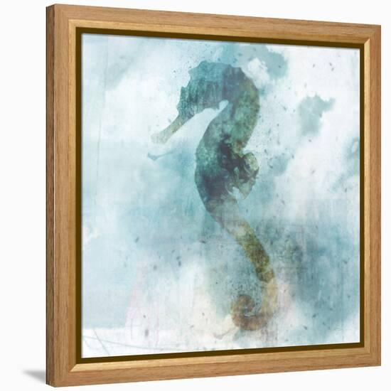 Coastal Mist Seahorse-Ken Roko-Framed Stretched Canvas