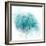 Coastal Mist Shell-Ken Roko-Framed Art Print