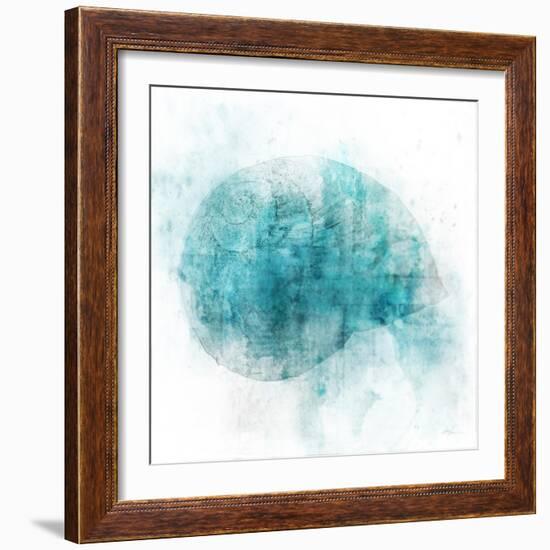 Coastal Mist Shell-Ken Roko-Framed Art Print