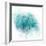 Coastal Mist Shell-Ken Roko-Framed Art Print