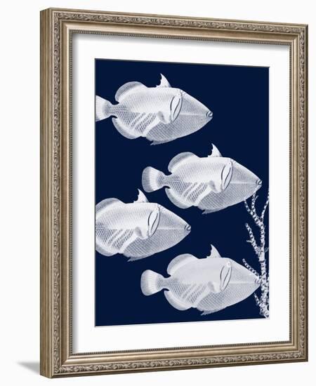 Coastal Orchestra-Sheldon Lewis-Framed Art Print