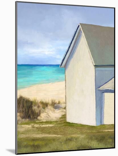 Coastal Outings-Mark Chandon-Mounted Giclee Print