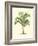 Coastal Palm I-null-Framed Art Print