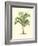 Coastal Palm I-null-Framed Art Print