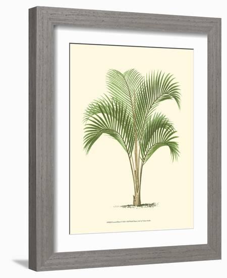 Coastal Palm I-null-Framed Art Print