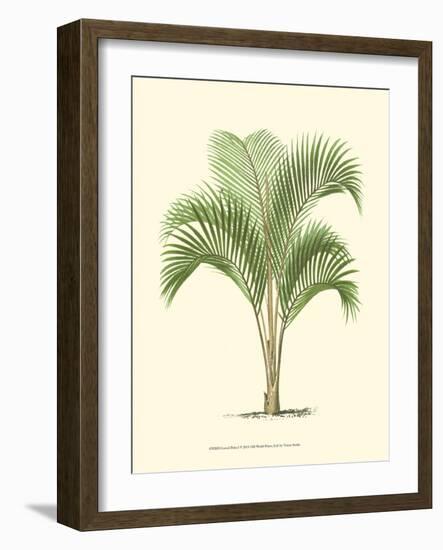 Coastal Palm I-null-Framed Art Print