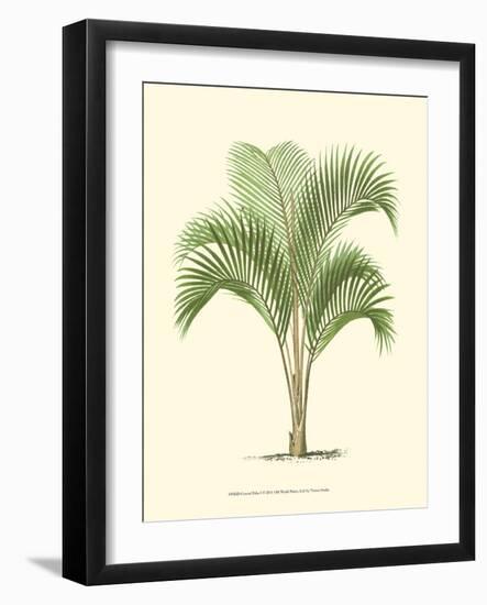 Coastal Palm I-null-Framed Art Print