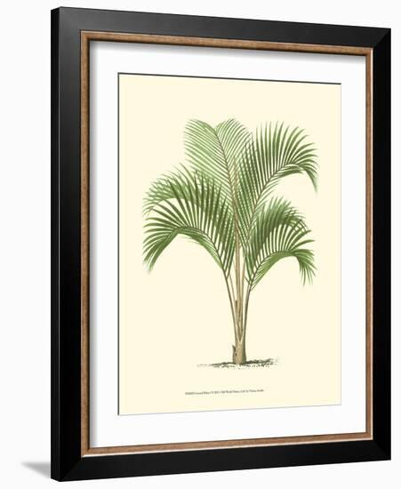 Coastal Palm I-null-Framed Art Print