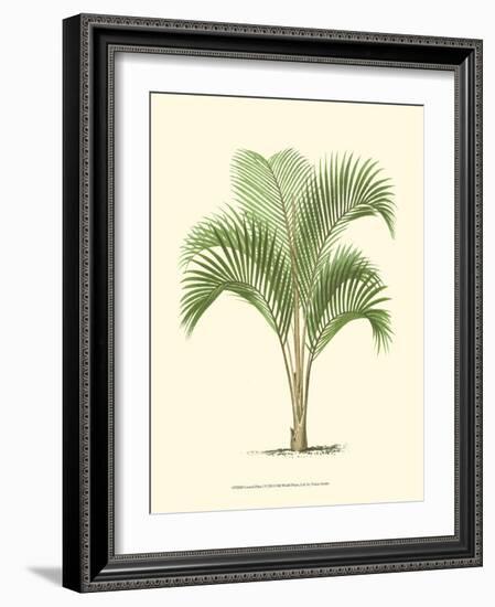 Coastal Palm I-null-Framed Art Print