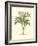 Coastal Palm I-null-Framed Art Print