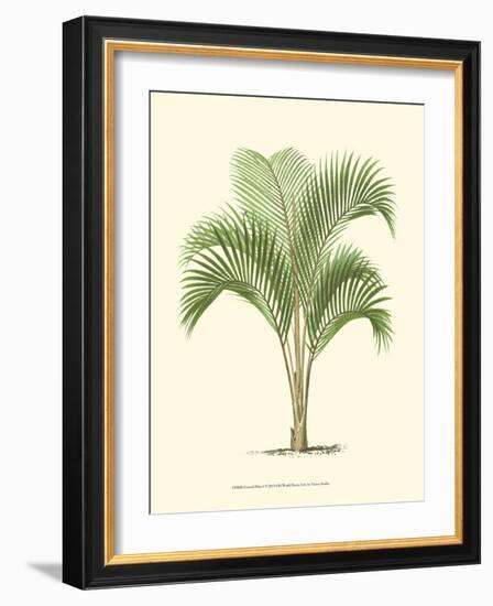 Coastal Palm I-null-Framed Art Print