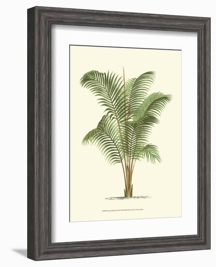 Coastal Palm II-null-Framed Art Print