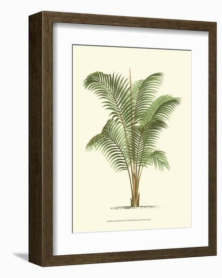 Coastal Palm II-null-Framed Art Print