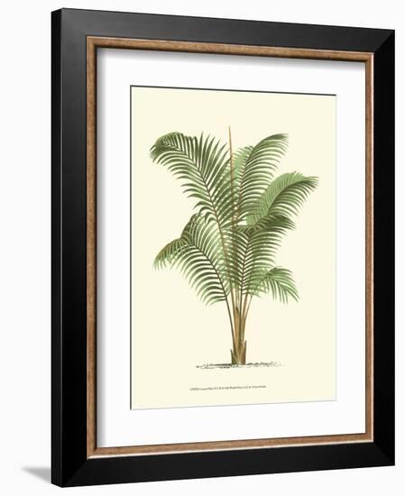 Coastal Palm II-null-Framed Art Print