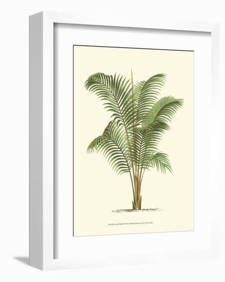 Coastal Palm II-null-Framed Art Print