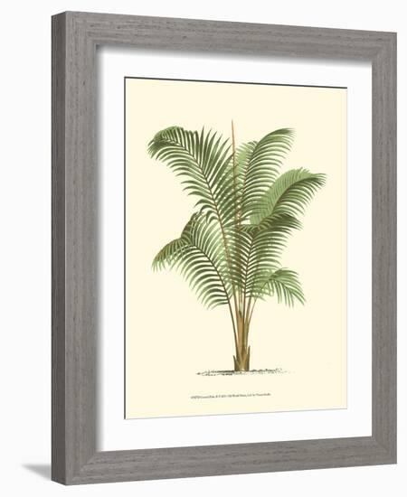 Coastal Palm II-null-Framed Art Print