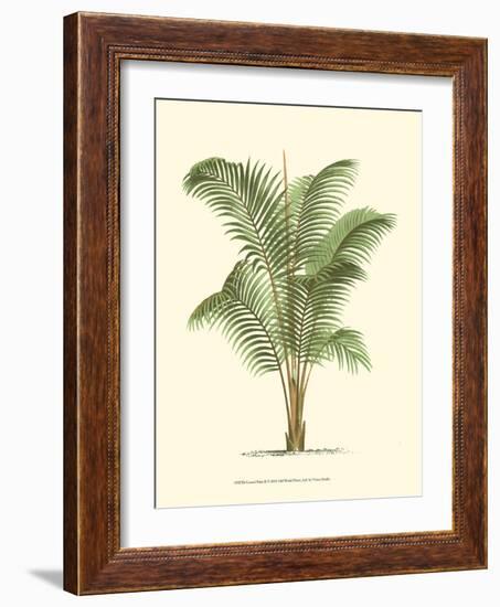 Coastal Palm II-null-Framed Art Print