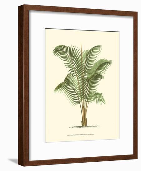 Coastal Palm II-null-Framed Art Print