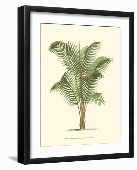 Coastal Palm II-null-Framed Art Print