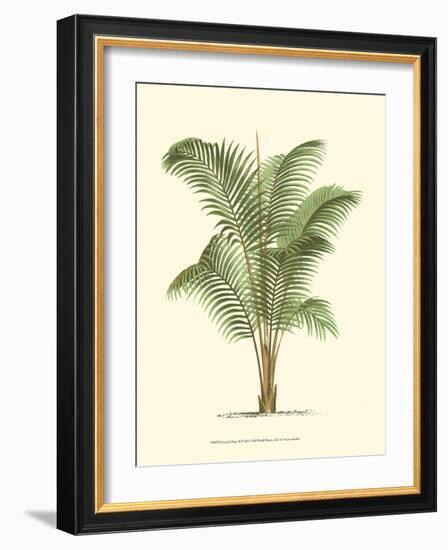 Coastal Palm II-null-Framed Art Print