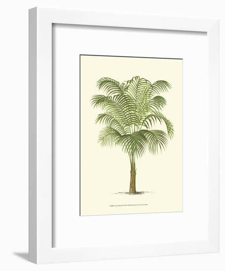 Coastal Palm III-null-Framed Art Print