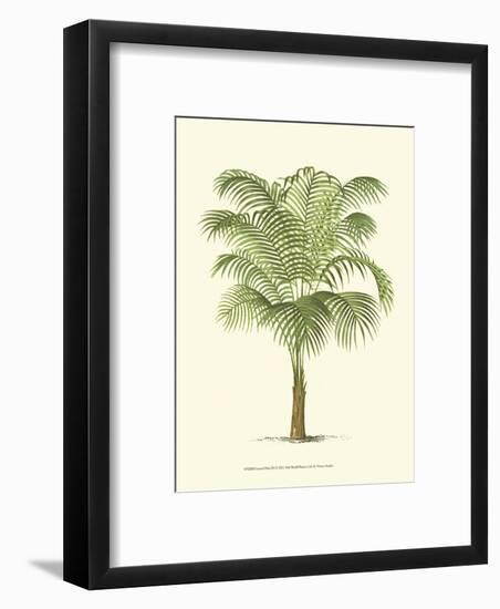 Coastal Palm III-null-Framed Art Print