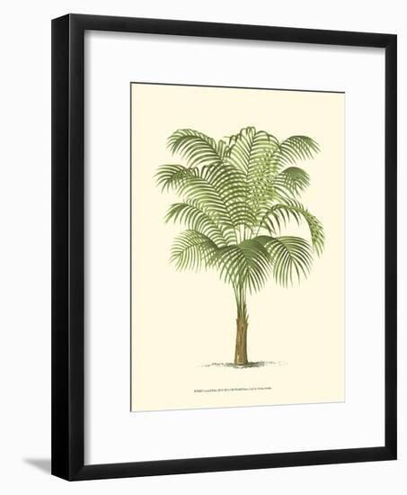 Coastal Palm III-null-Framed Premium Giclee Print