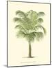Coastal Palm III-null-Mounted Premium Giclee Print