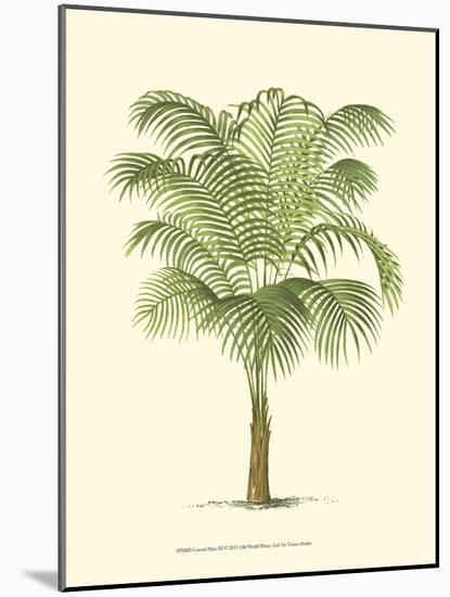 Coastal Palm III-null-Mounted Premium Giclee Print