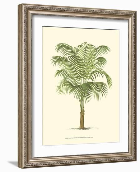 Coastal Palm III--Framed Art Print