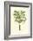 Coastal Palm III-null-Framed Art Print