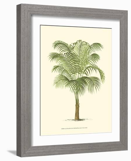 Coastal Palm III-null-Framed Art Print