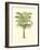 Coastal Palm III-null-Framed Art Print