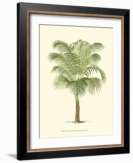 Coastal Palm III--Framed Art Print