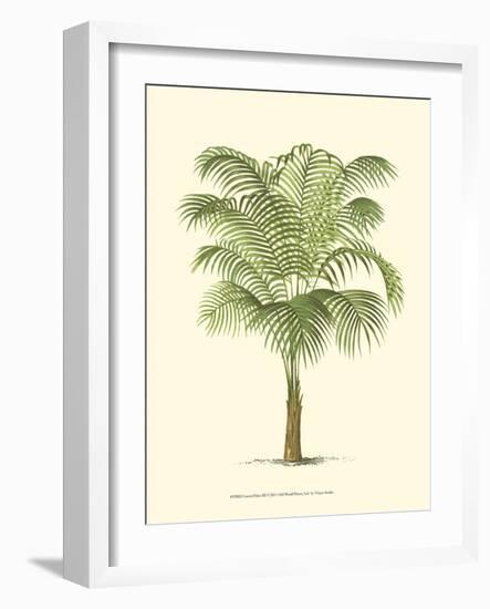 Coastal Palm III-null-Framed Art Print