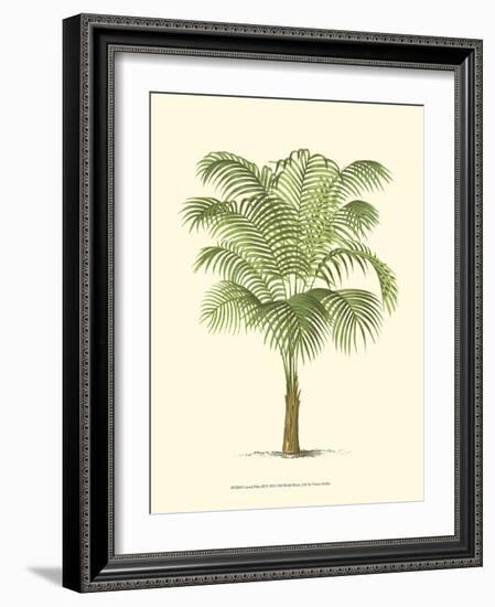 Coastal Palm III-null-Framed Art Print