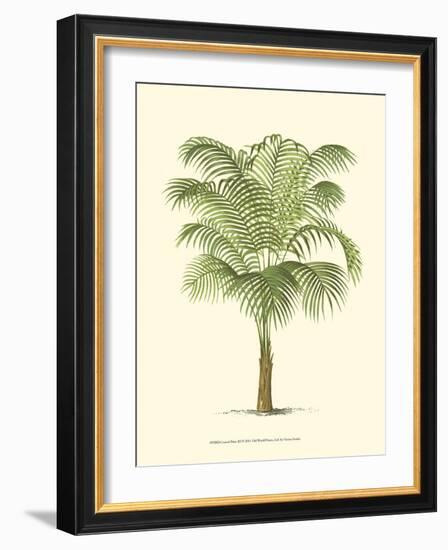 Coastal Palm III-null-Framed Art Print